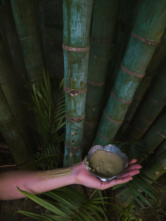 Hand holding a bowl of Ubtaan Organic Face Pack  by Prakriti in front of bamboo and foliage